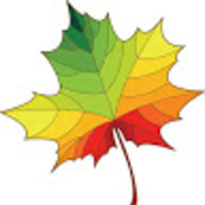 Meet your Posher, So